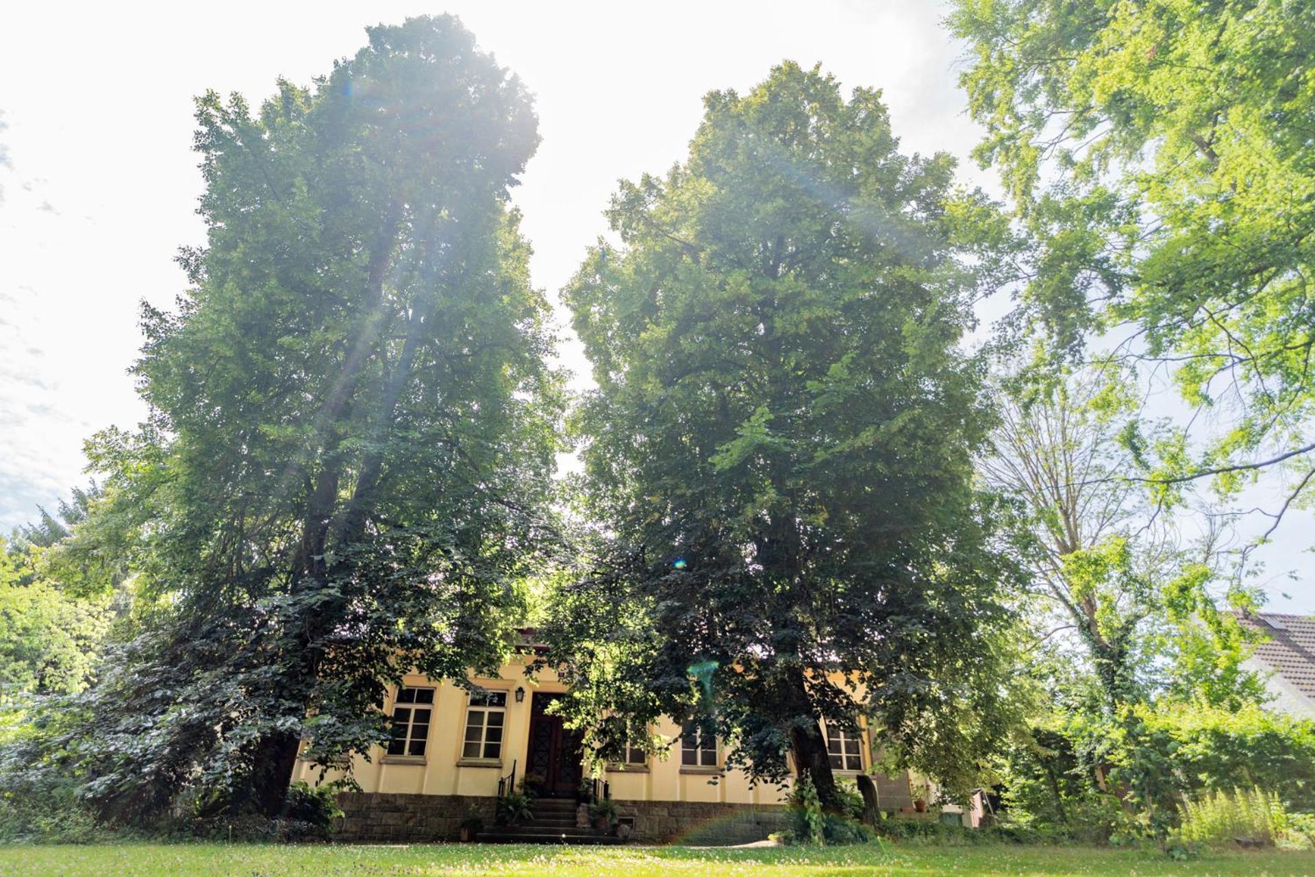 Villa Bergmann 뮨흐베르크 외부 사진
