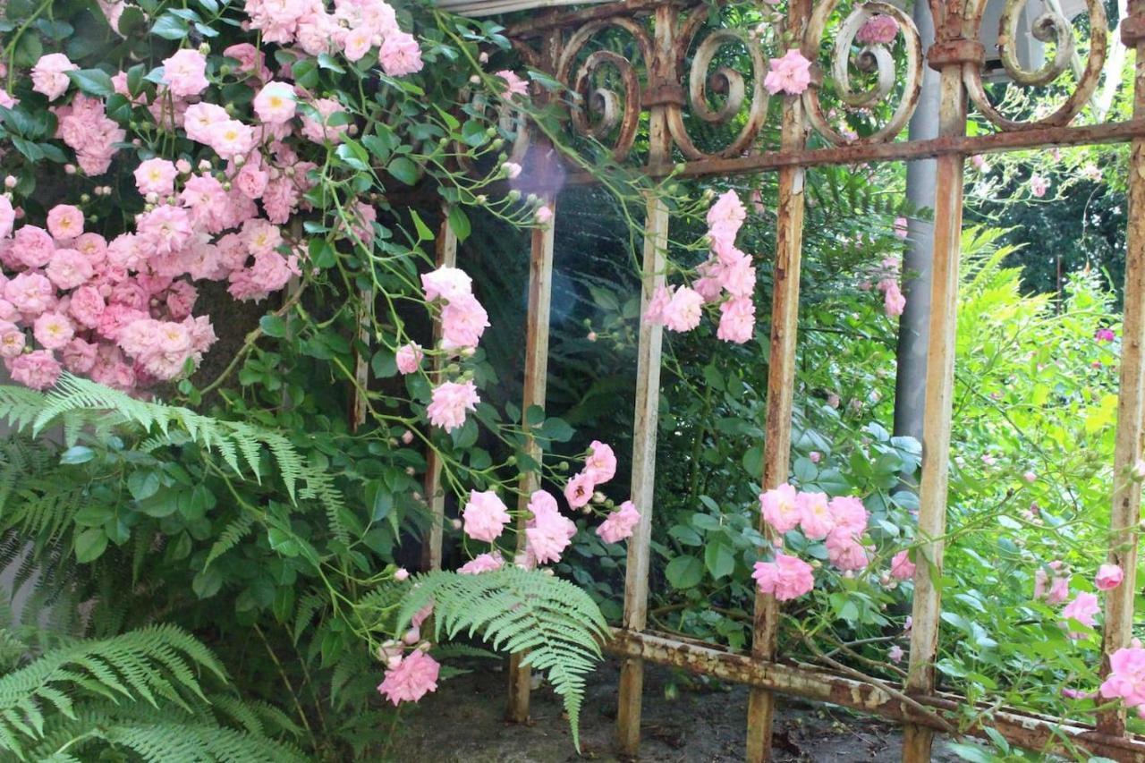 Villa Bergmann 뮨흐베르크 외부 사진